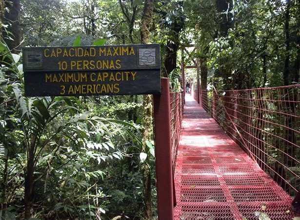 please try not to outweigh the bridge...