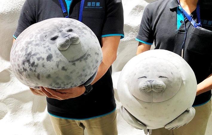 Osaka Aquarium just stepped up their gift shop game with these fat seal plushies