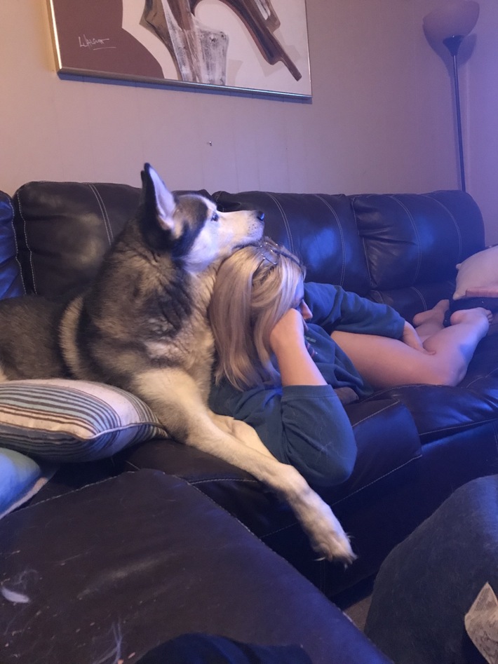 My dog using my wife as a pillow