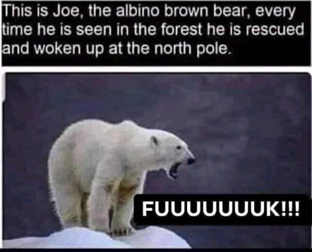 DAMN IT*