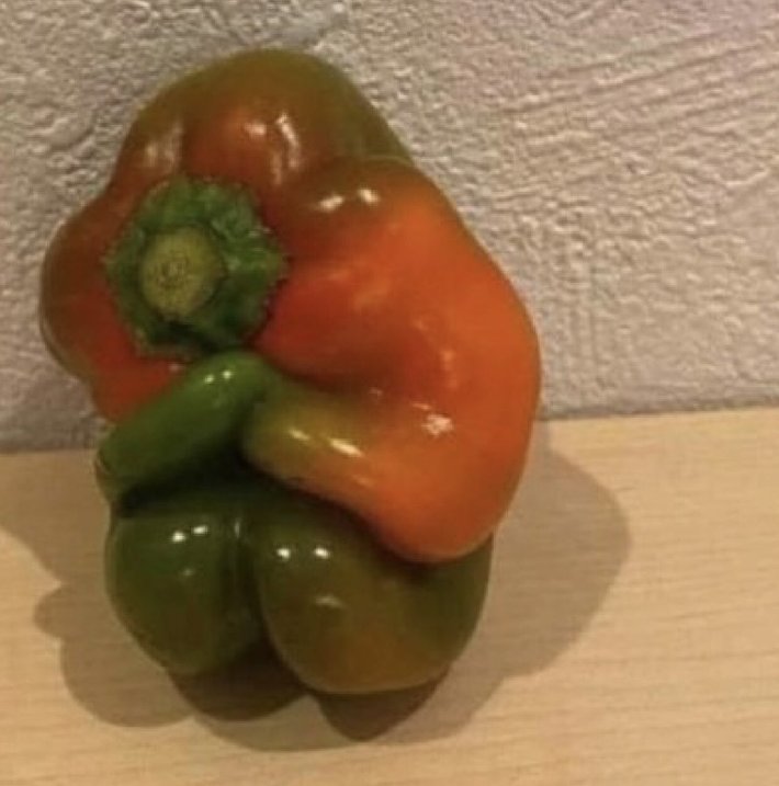 Every pepper you meet is fighting a battle you know nothing about. Be kind. Always.
