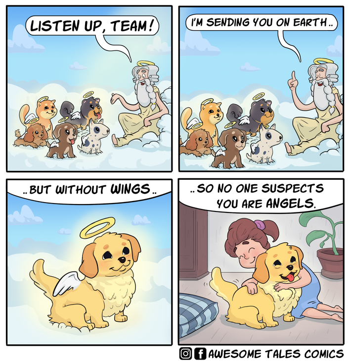 Heaven-sent [OC]