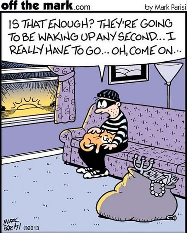 Pet tha damn cat