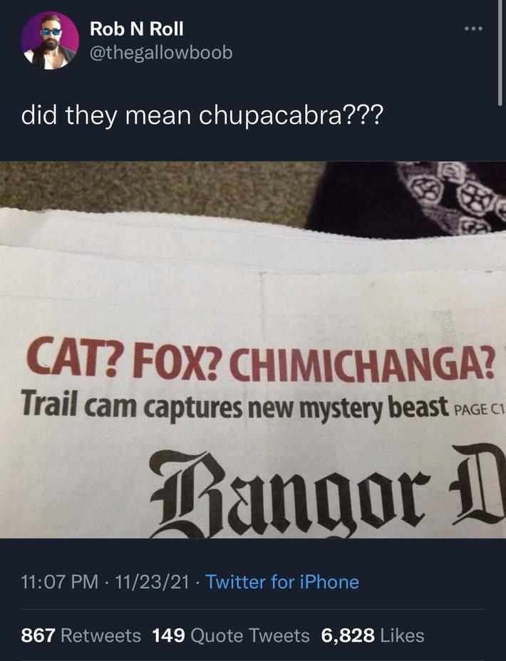 Chimichanga??