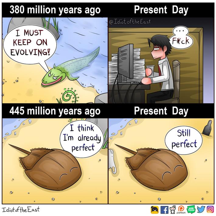 i just love how the horseshoe crab refuse to evolve.... also did you know that they have the most expensive blood