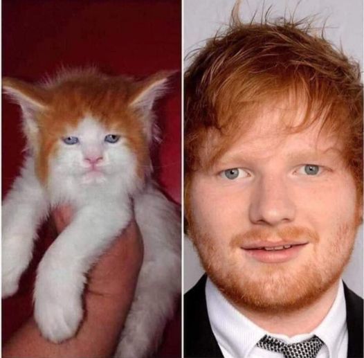 They found him :o