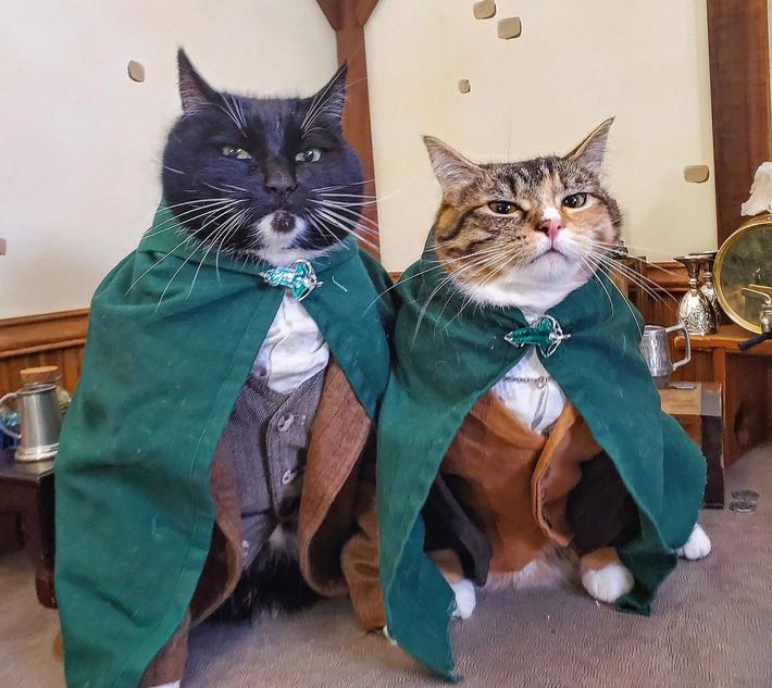 Just informed them there won't be a Second Breakfast... nor an Elevenses.