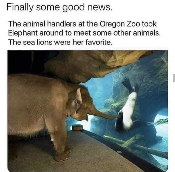 Finally...