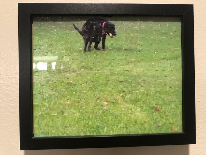 I turned a picture of my Labrador pooping into a puzzle, gave it to my dad for Christmas as a white elephant gift. He put it together, framed it, and gave it back to me. That’s what Christmas is all about. 😆