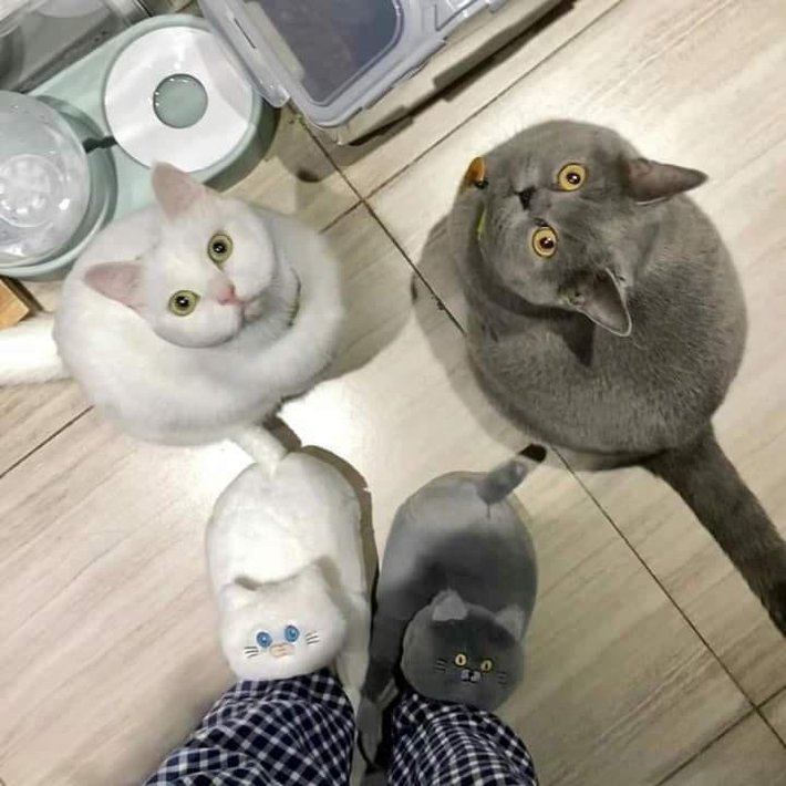 Are we a joke to you?