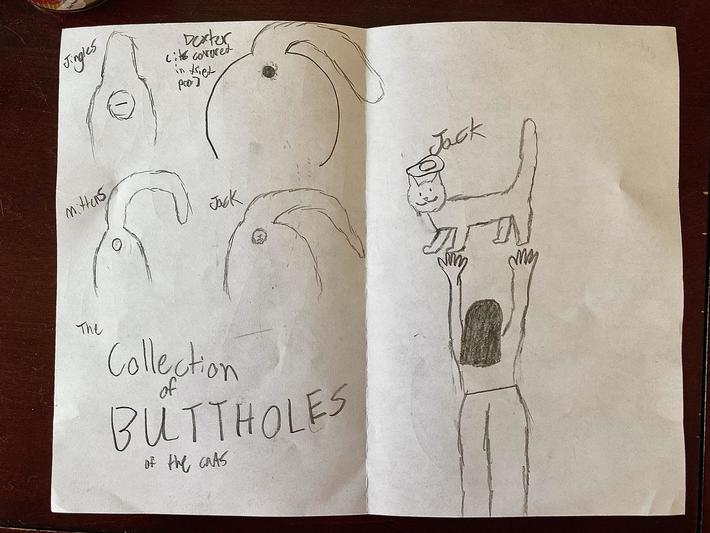 My 10yr old made me a birthday card with detailed drawings of the buttholes of our 4 cats and titled it: “The Collection of BUTTHOLES of the cats”.