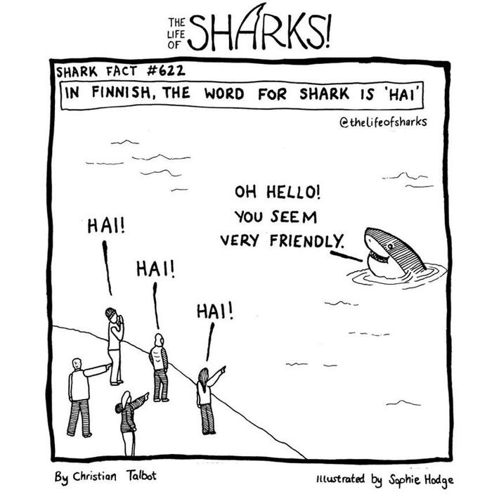 Hai