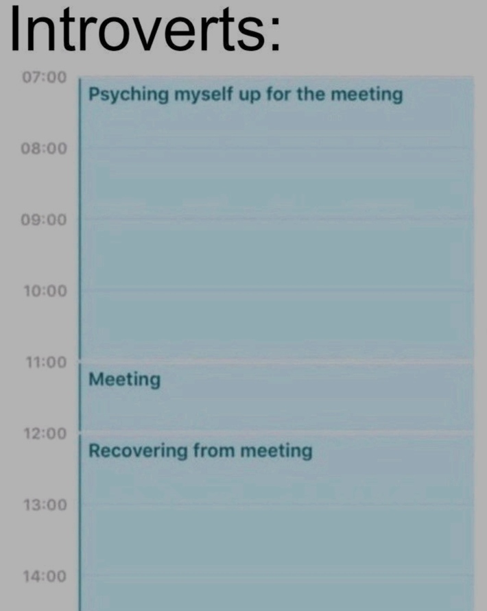 Daily life of introverts in business 😂