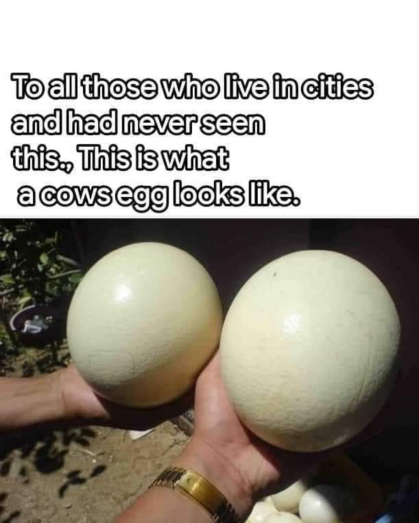Never seen this before
