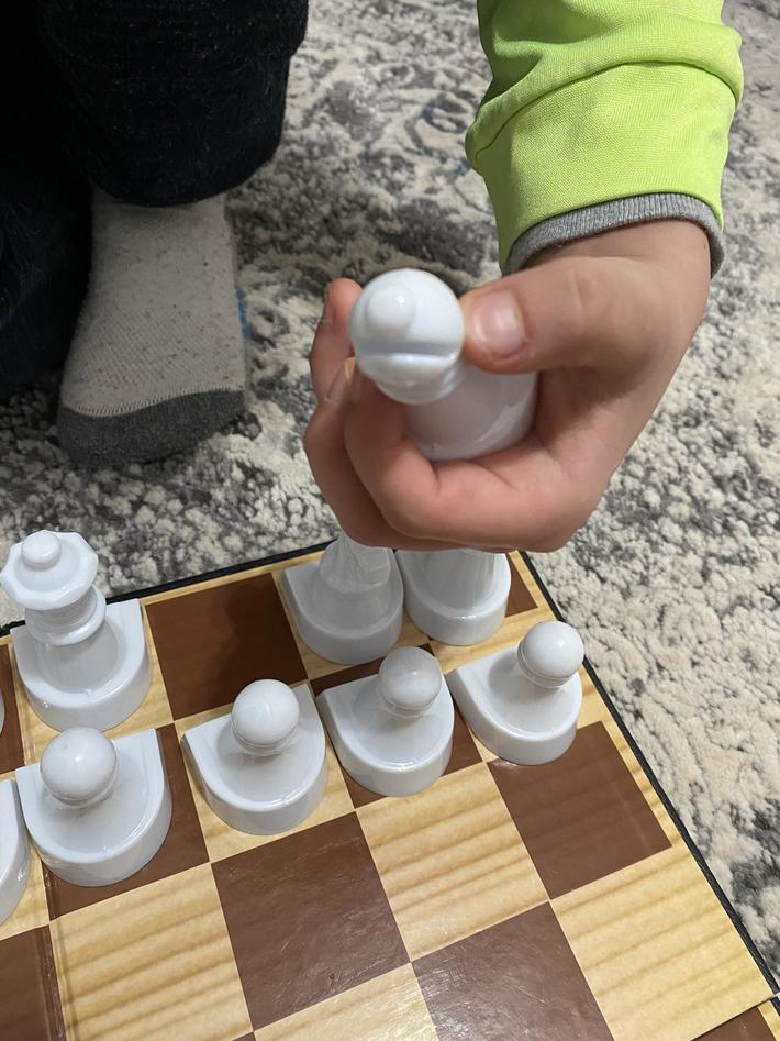 Teaching my kids how to play chess, I asked which one was the Bishop: "This one, the Elmo what has his eyes pulled out."