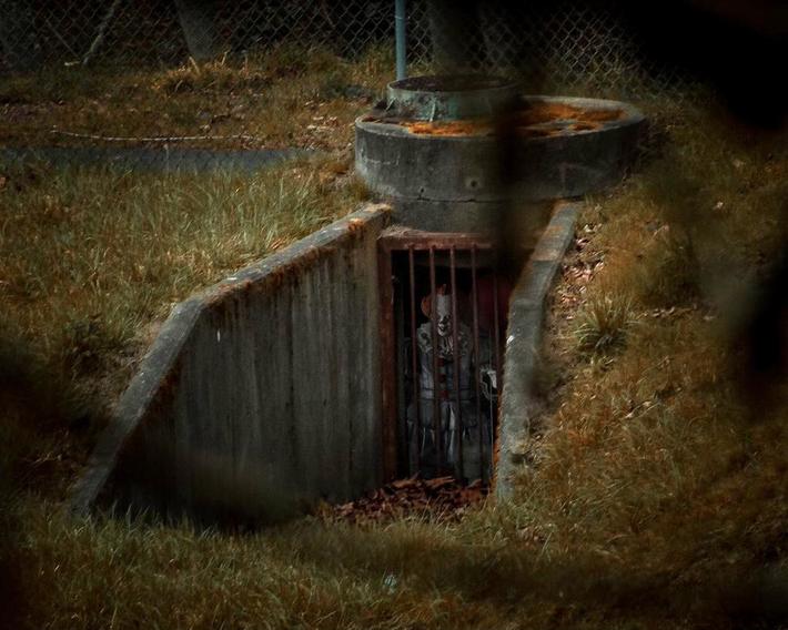 I photoshopped Pennywise into one of my brother's photos then put it back on his camera. He is terrified of clowns 🤣