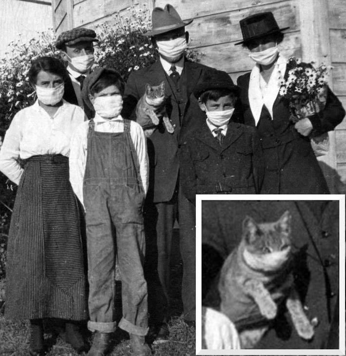 Pets are part of the family, you know.