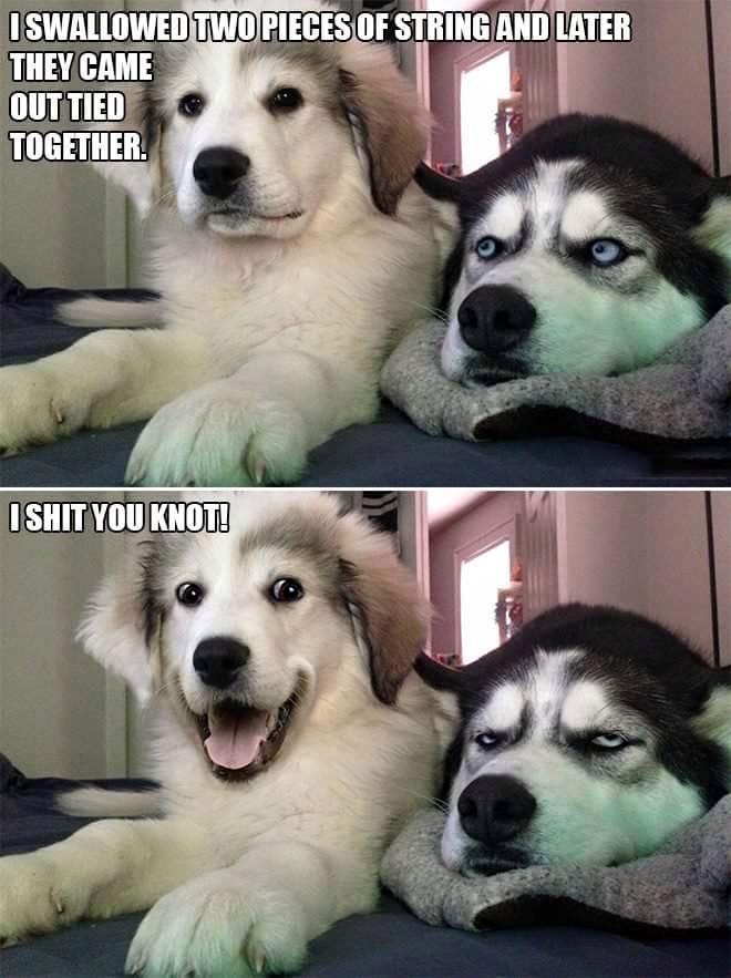 Oh u!