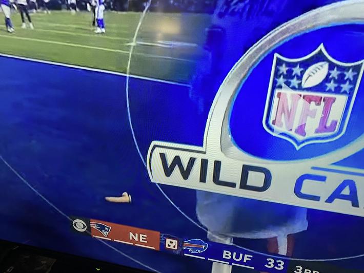 The Patriots scored and someone threw a dildo on the field.