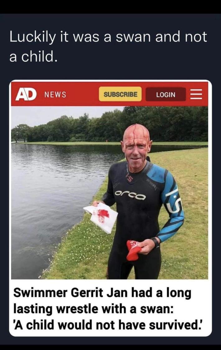 Just the one swan, actually