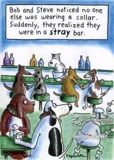 Stray Bar