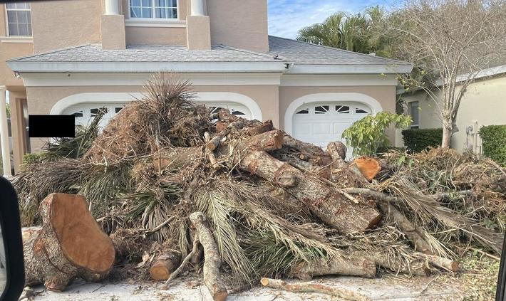 My neighbor “allegedly” refused to pay the guy who cleared his back yard. He’ll be coming home to this gift left in his driveway.