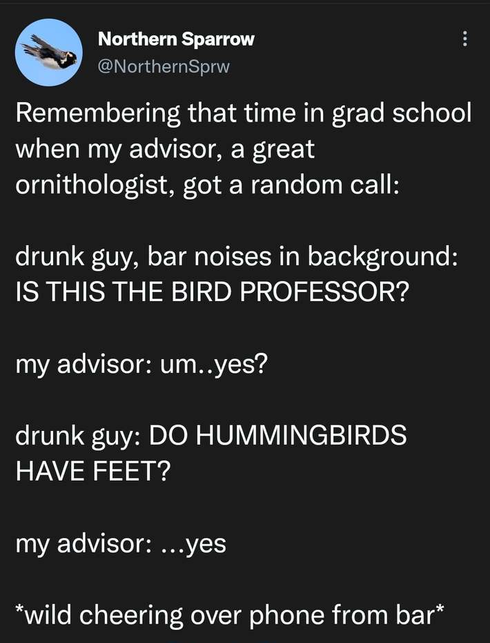 Bird