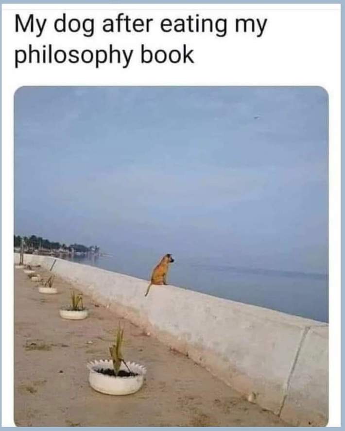 Just why