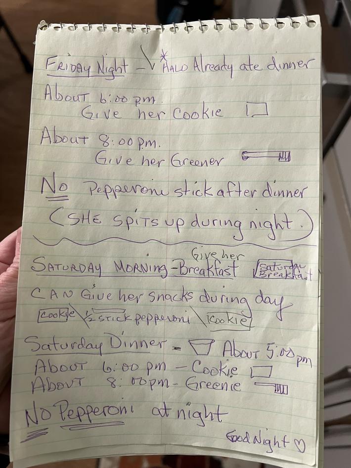 Instructions for watching Moms dog..