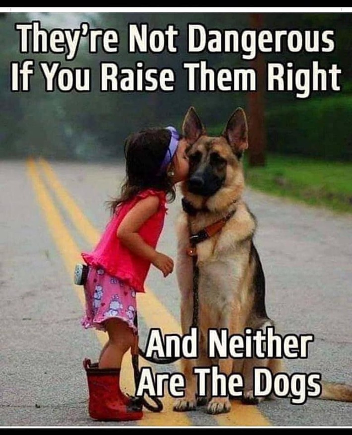 They aren't dangerous :)