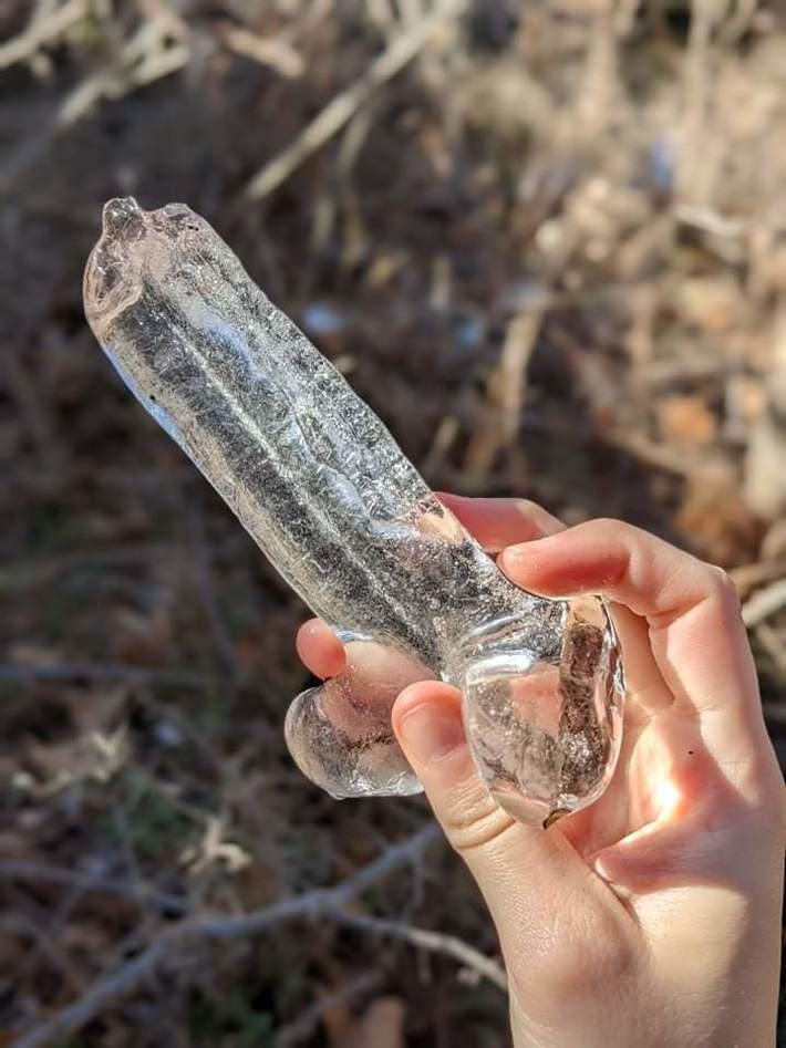 The ice penis my sister found hanging off a tree