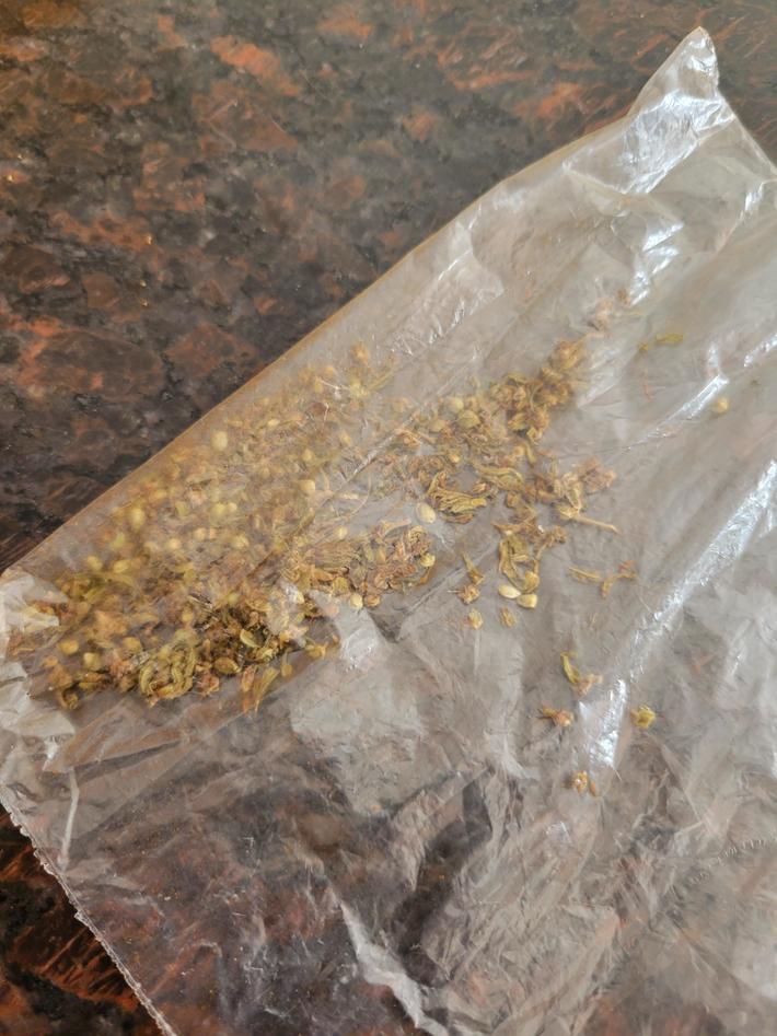 My Mom just found this bag of weed she took from me in high school over ten years ago. Oh how times have changed