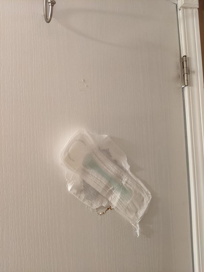 I just moved in with my girlfriend and her three teenage daughters. It's been a while since they've had a handyman around... or a man period.