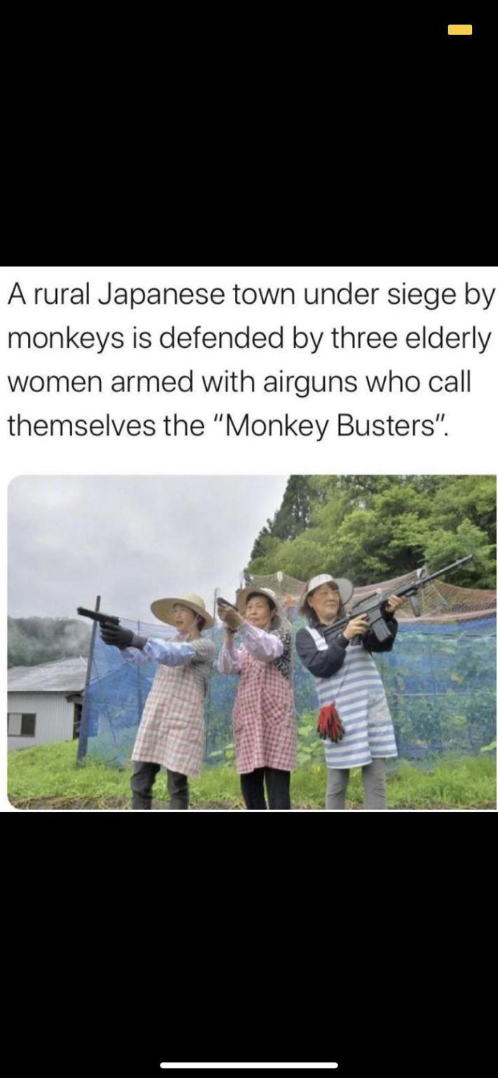 Who you gonna call