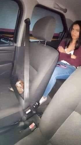 Homie rides shotgun