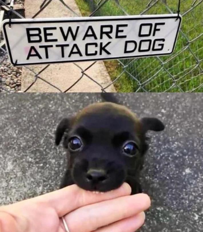 beware