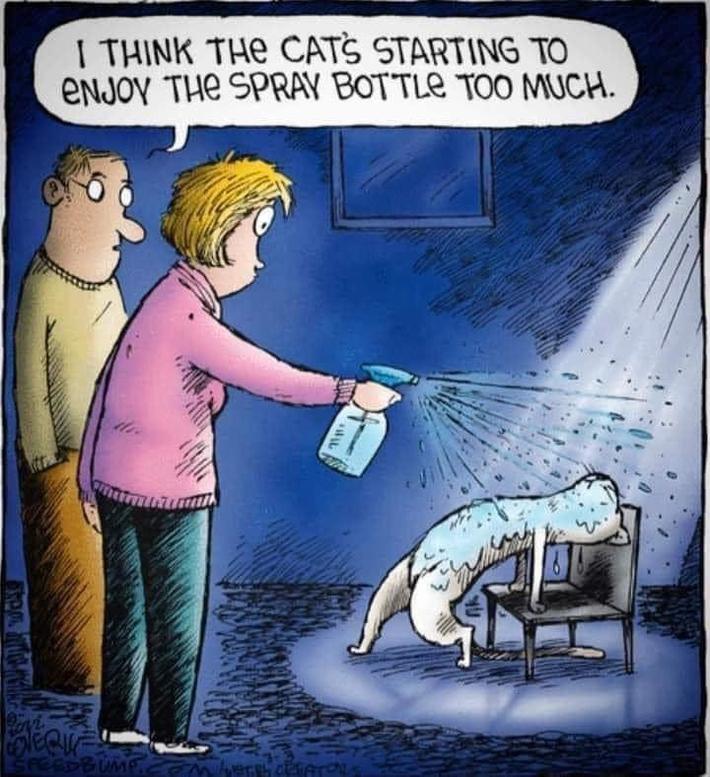 Life of Cat