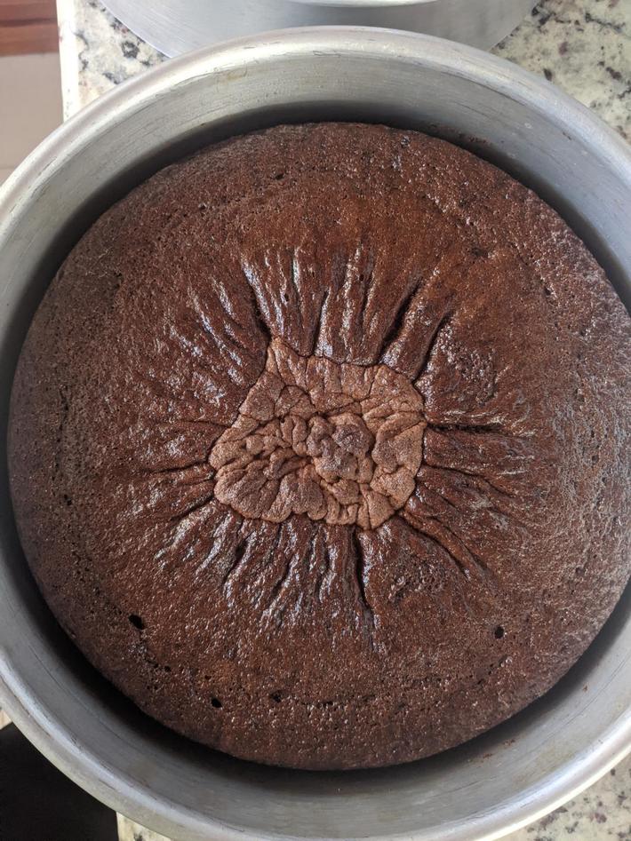 My wife's chocolate cake looks like a butthole.
