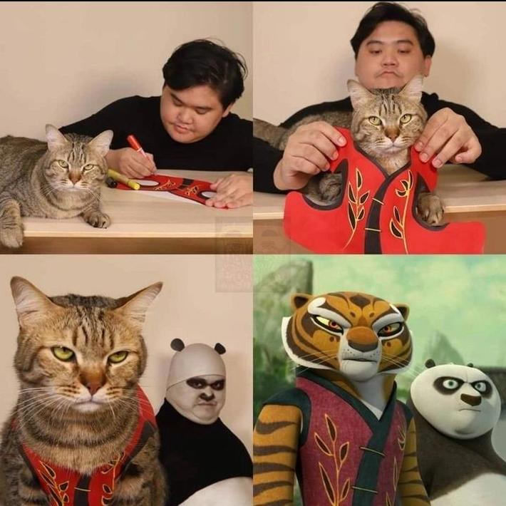 pancat 😅😅😅