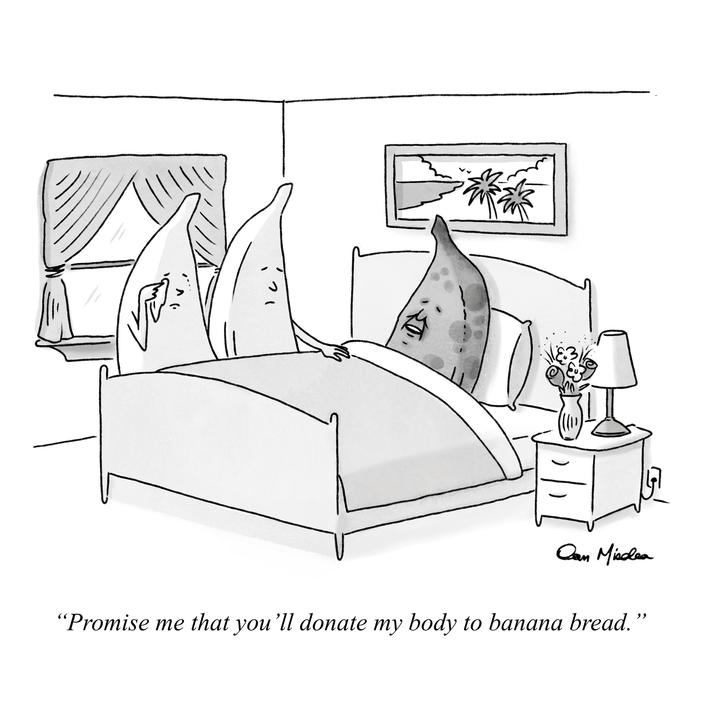 A Banana's Dying Wish