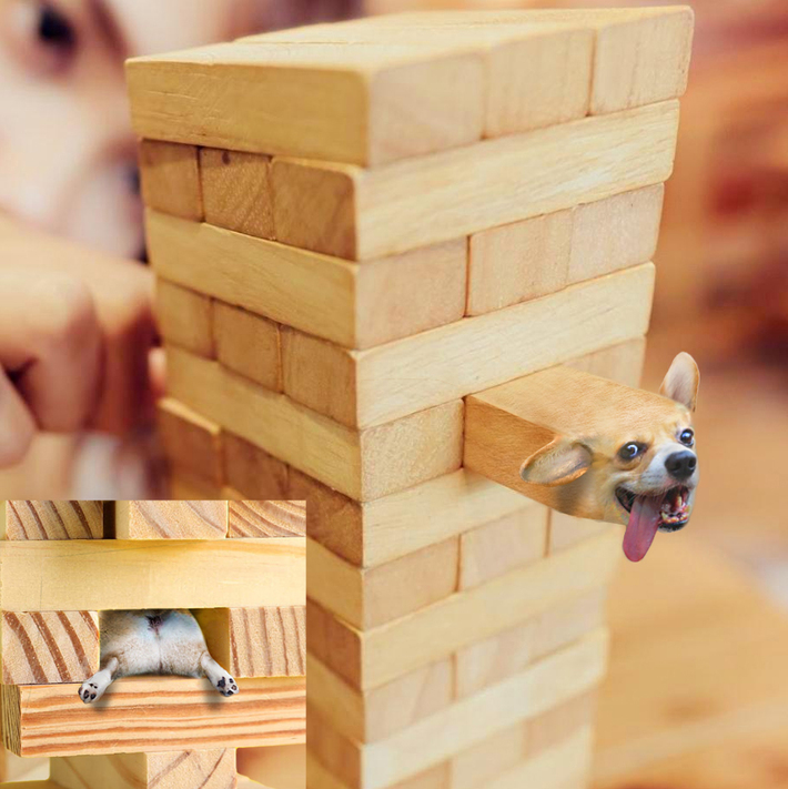 I photoshop animals into random objects. I felt particularly inspired this morning.