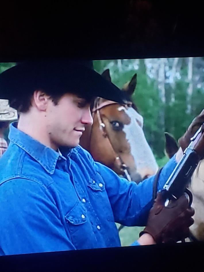 Horse is sick of Gyllenhaal's shit.
