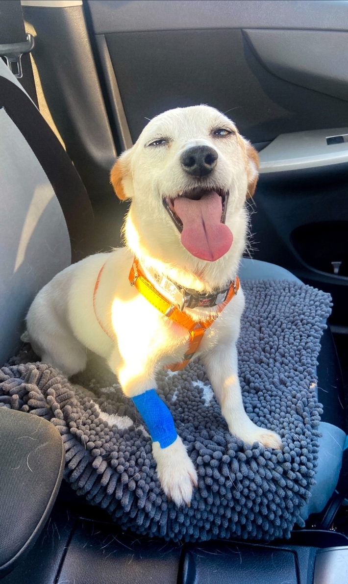 High after surgery