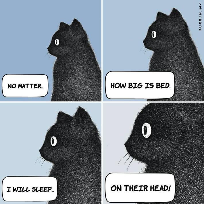 Cat logic