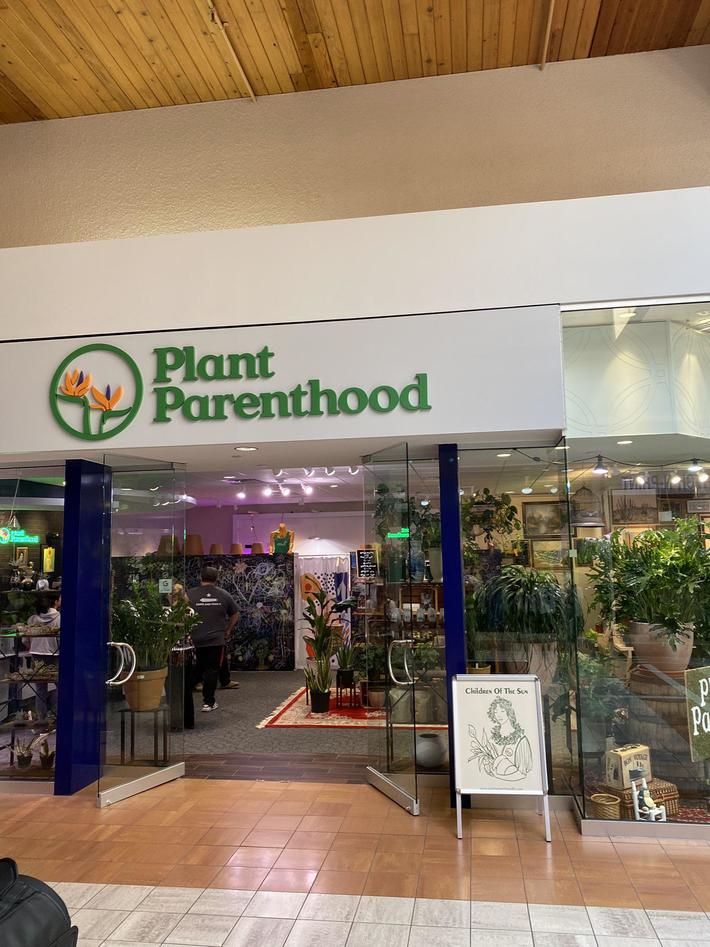 That’s definitely one name you can chose for your plant nursery