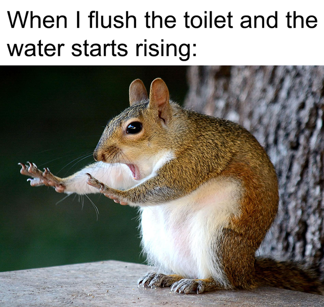 Here we go again