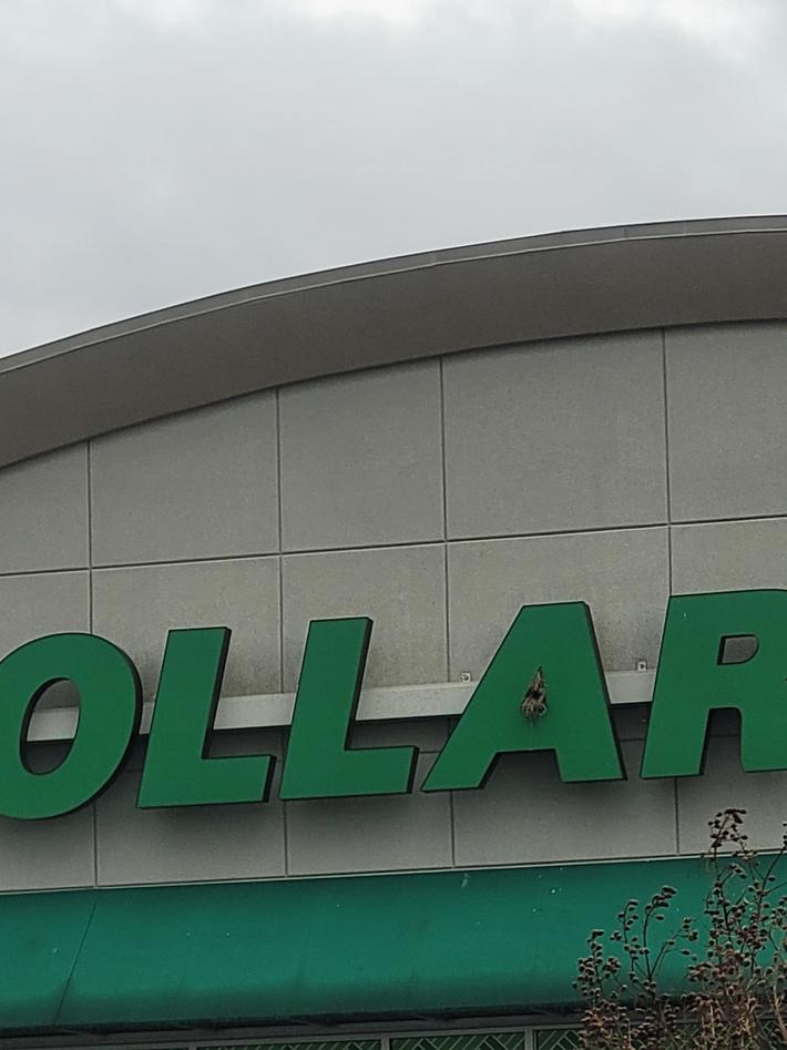 Our Dollar Tree has a hairy A-hole.