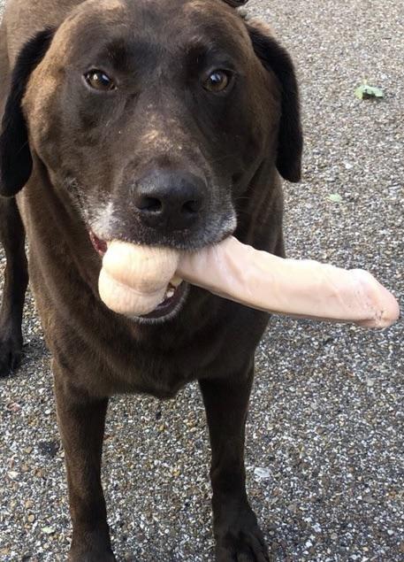 I promise I didn’t bring this to the park