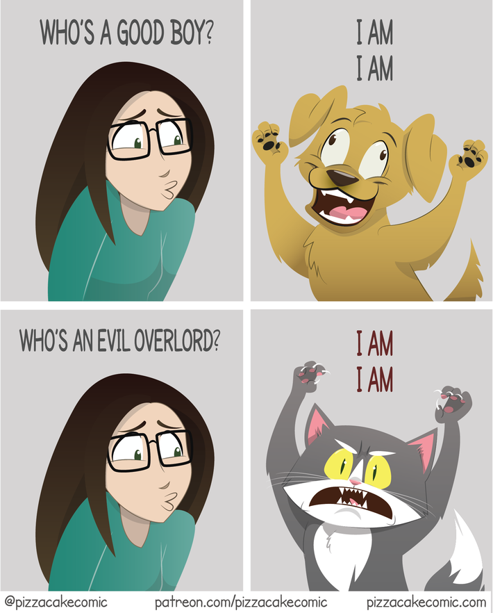 Pets