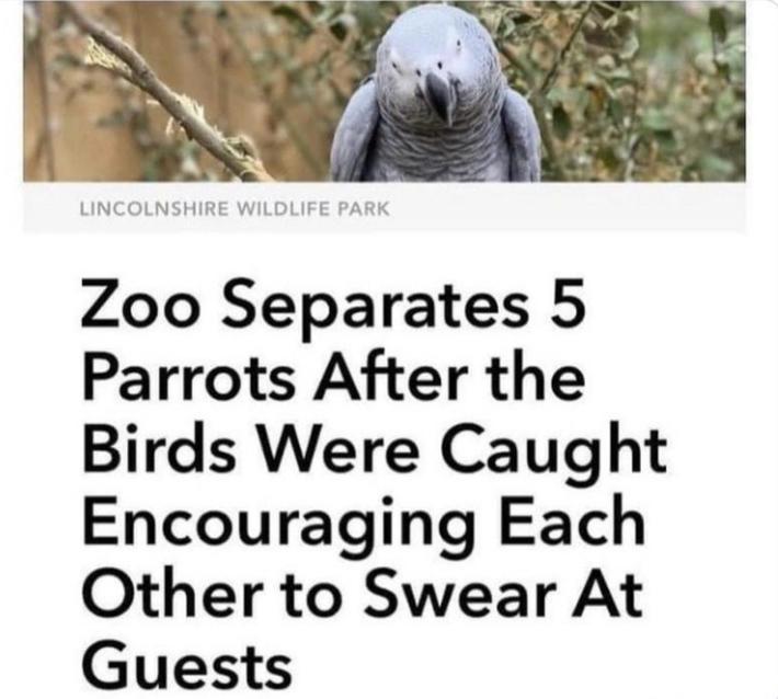 They absolutely should’ve kept them together.